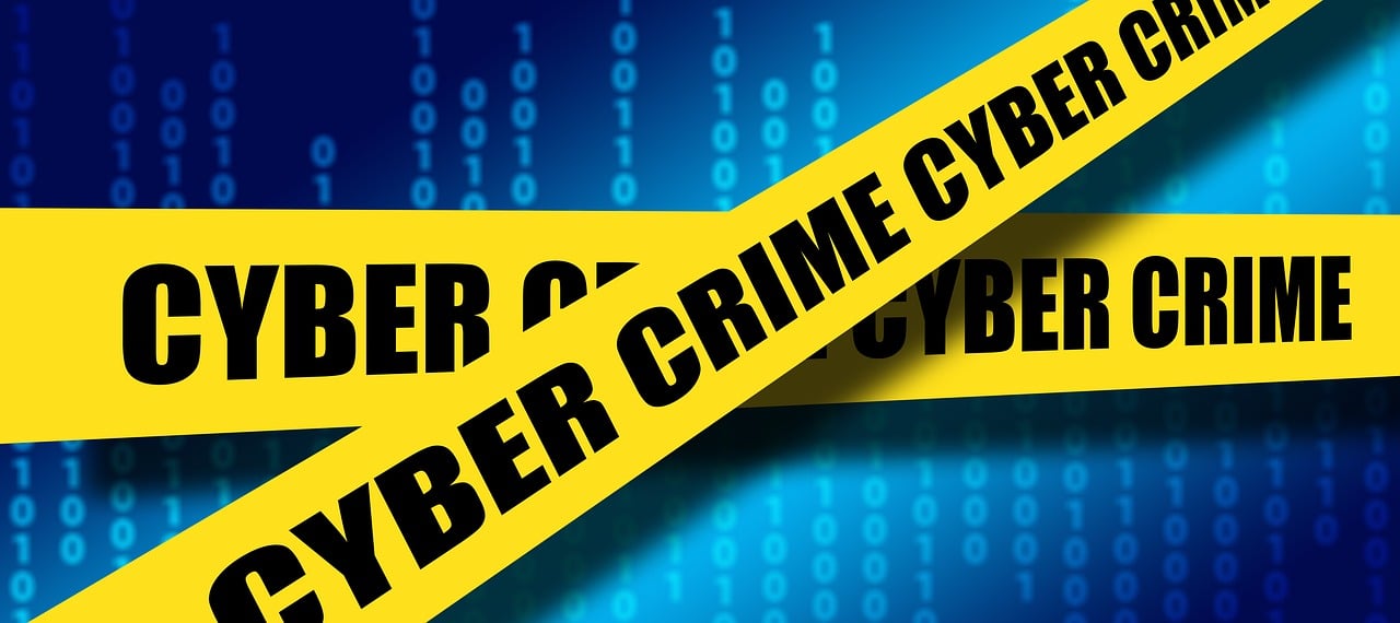 cyber crime